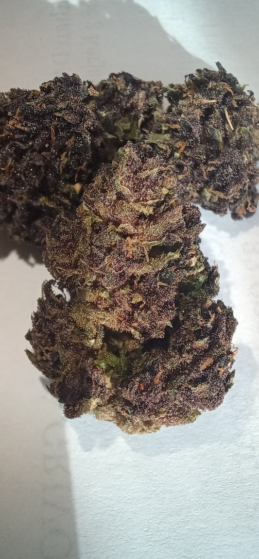 BLUE MERINGUE Extérieur