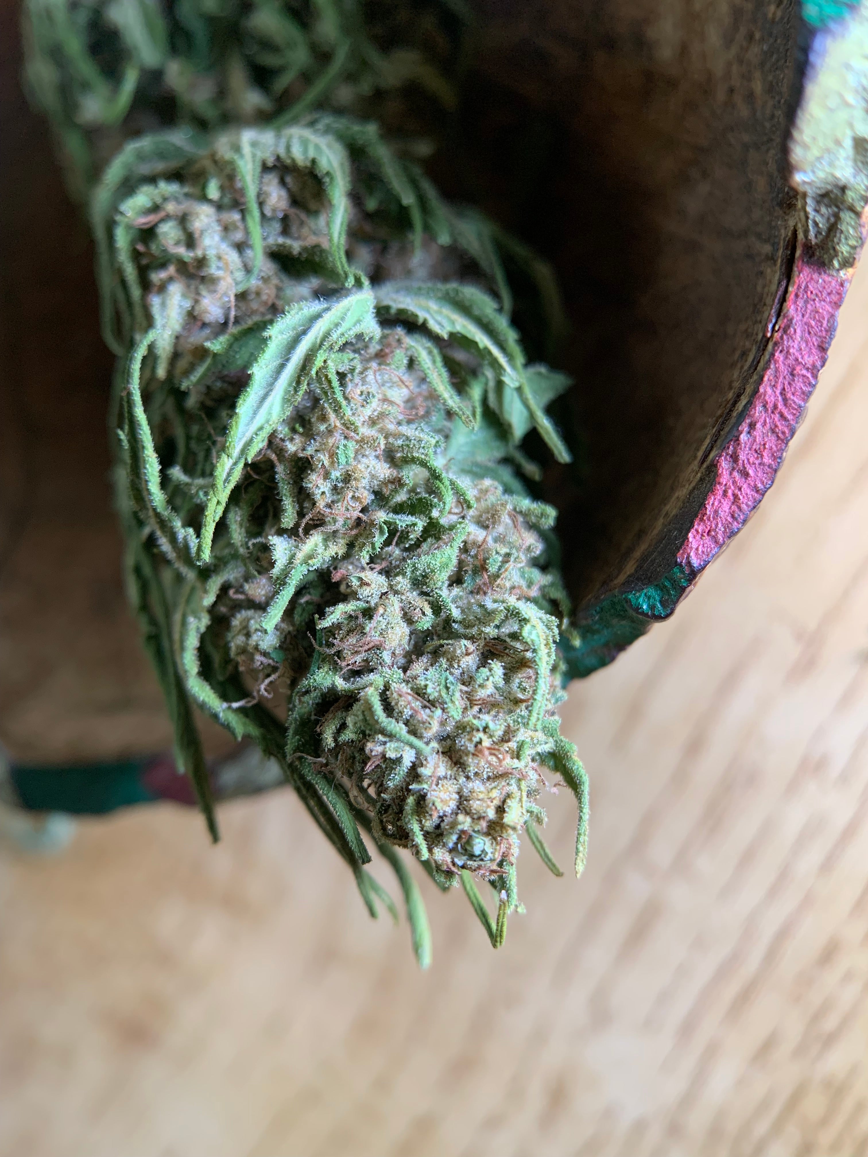 LULU LA NANTAISE  Serre Light-Dep