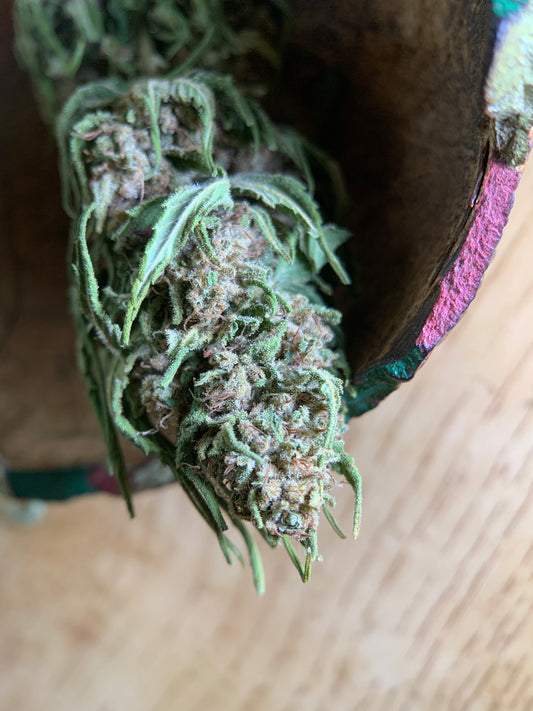 LULU LA NANTAISE  Serre Light-Dep