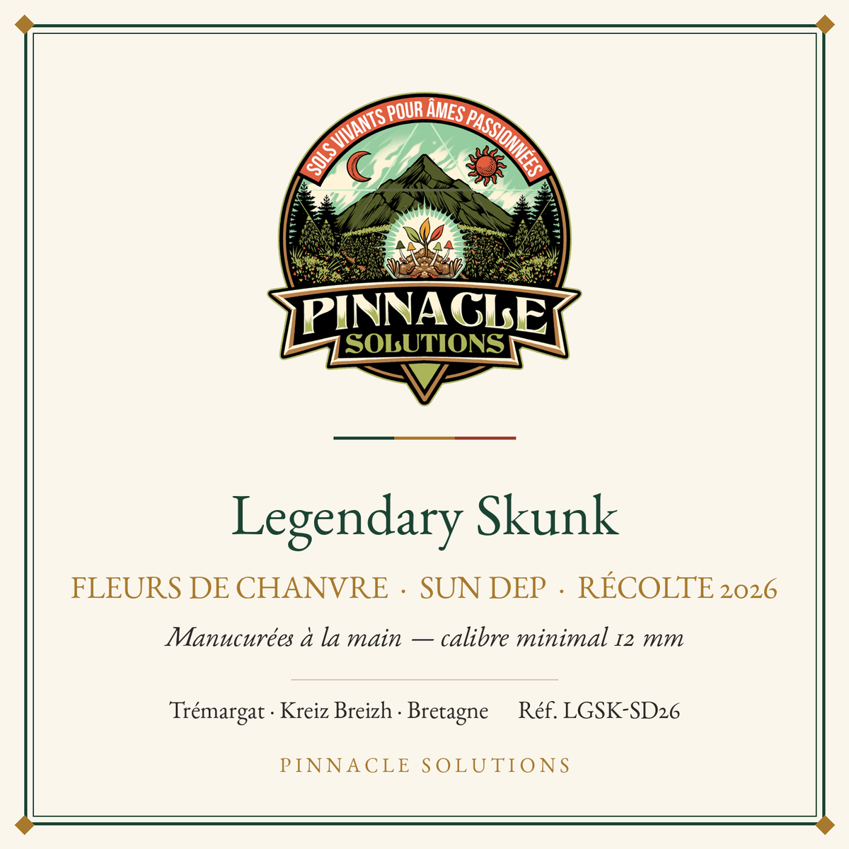 Legendary Skunk — fleurs de chanvre Sun Dep, récolte 2026, Pinnacle Solutions, Trémargat
