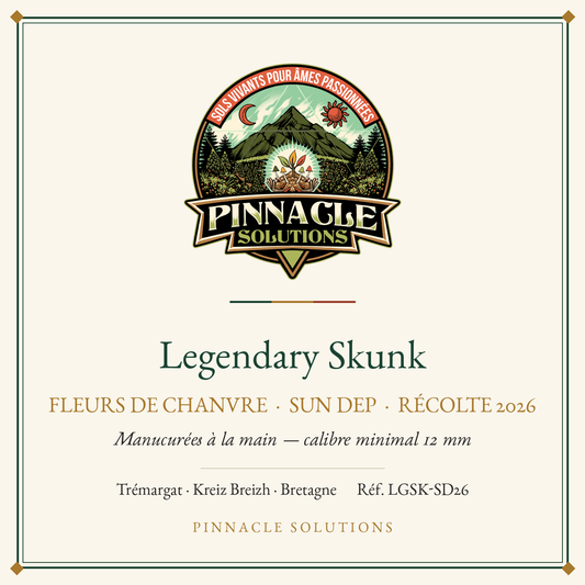 Legendary Skunk — fleurs de chanvre Sun Dep, récolte 2026, Pinnacle Solutions, Trémargat