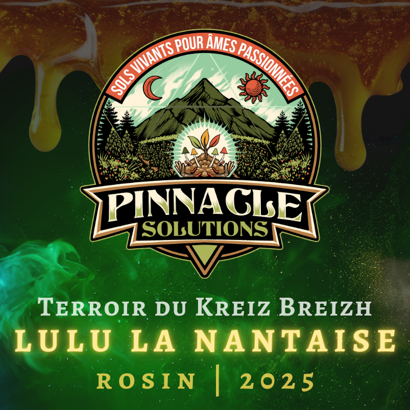 LULU LA NANTAISE  Rosin