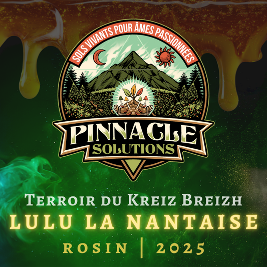 LULU LA NANTAISE  Rosin