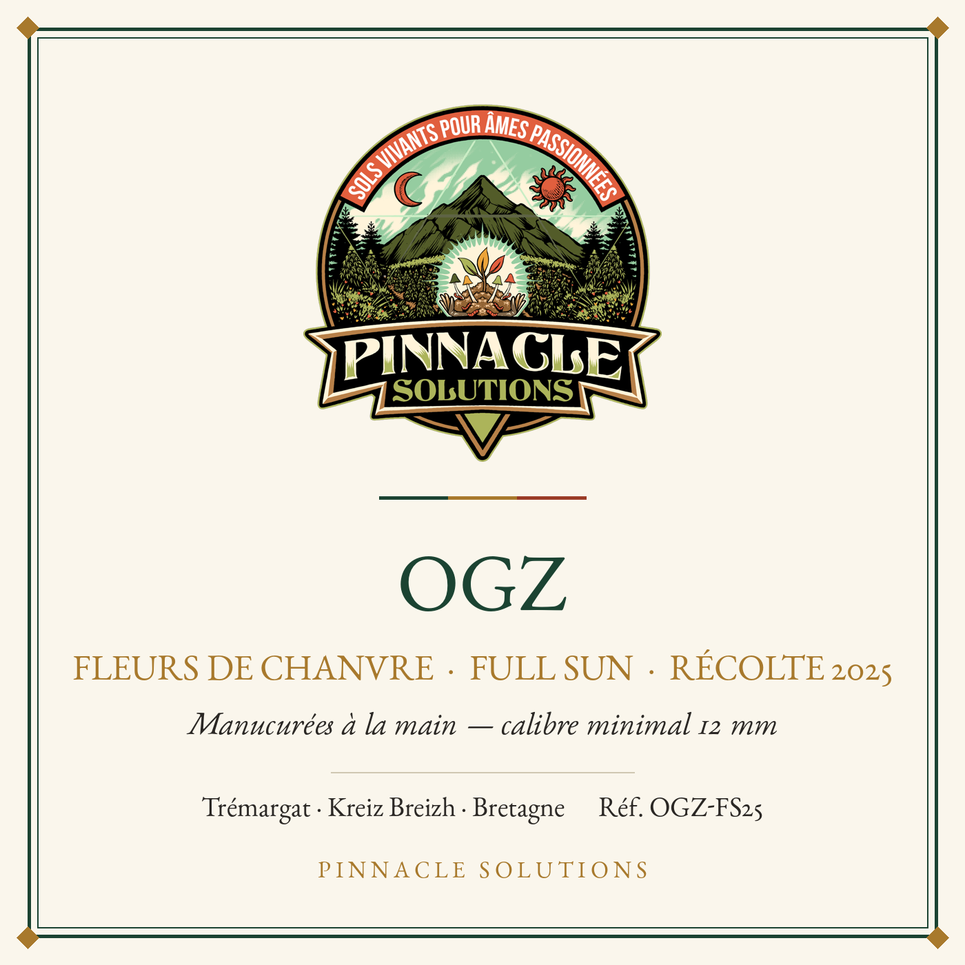 OGZ — fleurs de chanvre Full Sun, récolte 2025, Pinnacle Solutions, Trémargat