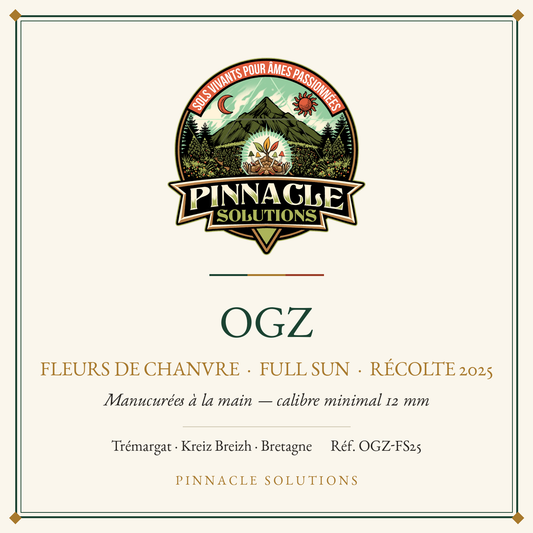 OGZ — fleurs de chanvre Full Sun, récolte 2025, Pinnacle Solutions, Trémargat