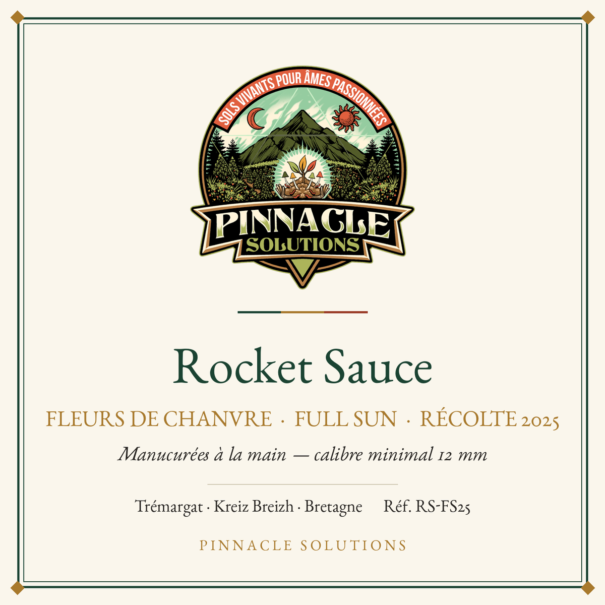 Rocket Sauce — fleurs de chanvre Full Sun, récolte 2025, Pinnacle Solutions, Trémargat