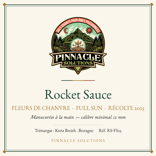 Rocket Sauce — fleurs de chanvre Full Sun, récolte 2025, Pinnacle Solutions, Trémargat
