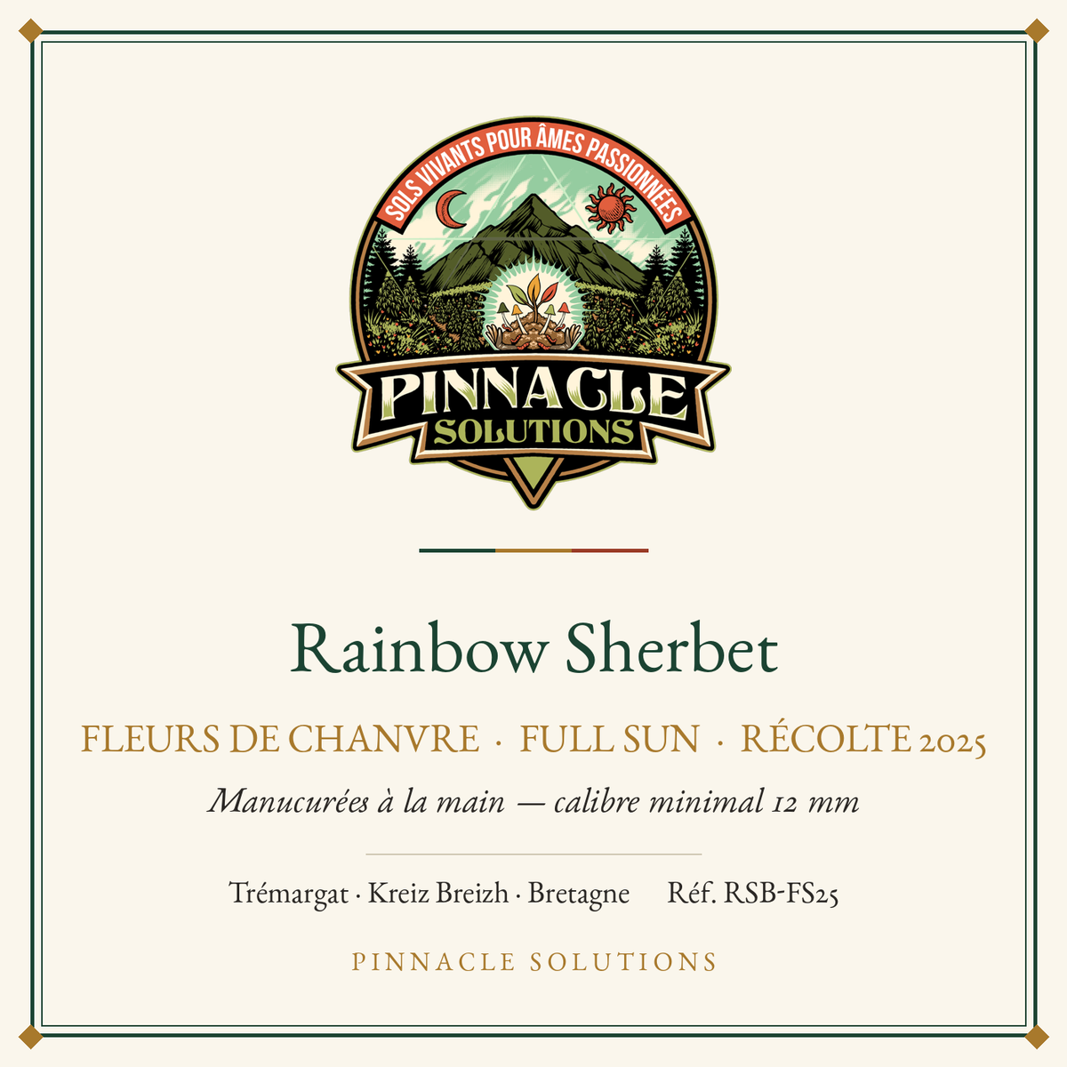Rainbow Sherbet — fleurs de chanvre Full Sun, récolte 2025, Pinnacle Solutions, Trémargat