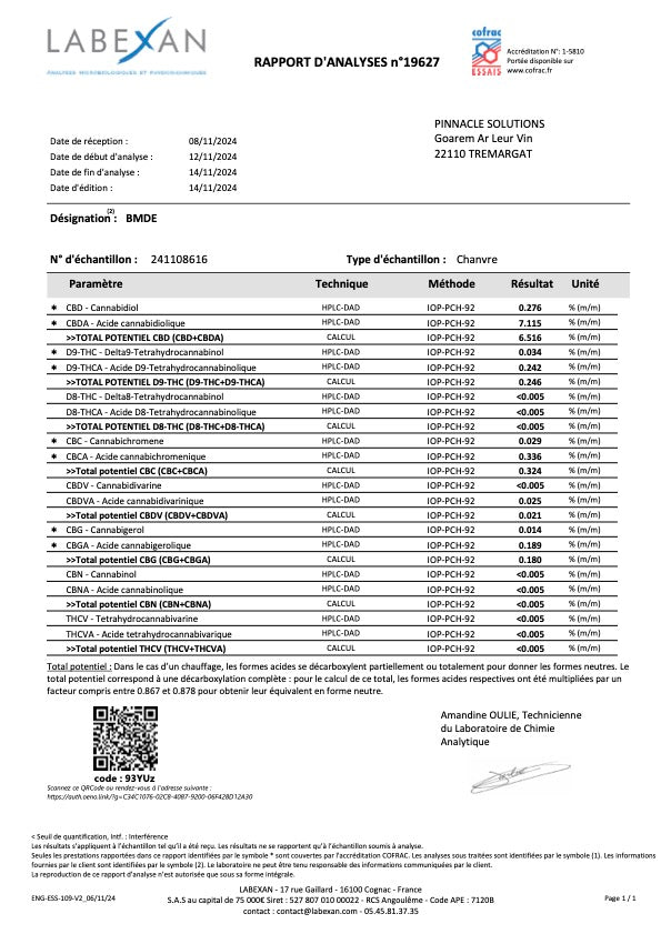 BLUE MERINGUE  Extérieur