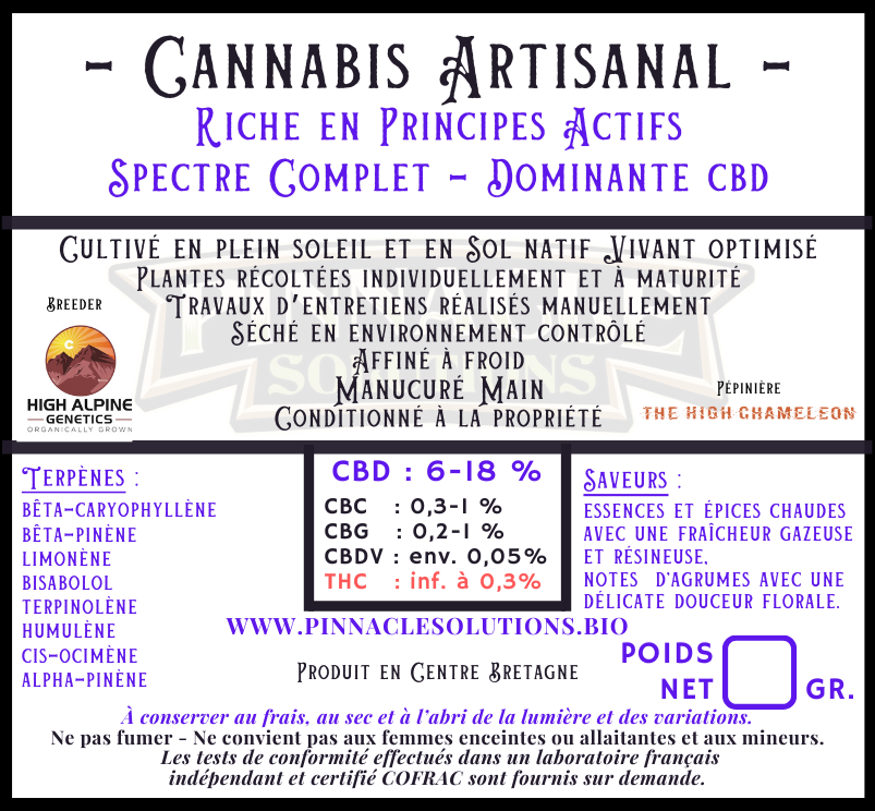 BLUE MERINGUE  Extérieur