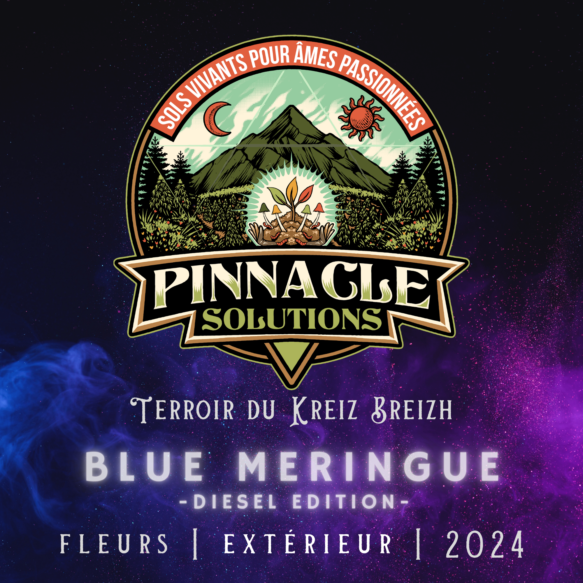 BLUE MERINGUE  Extérieur