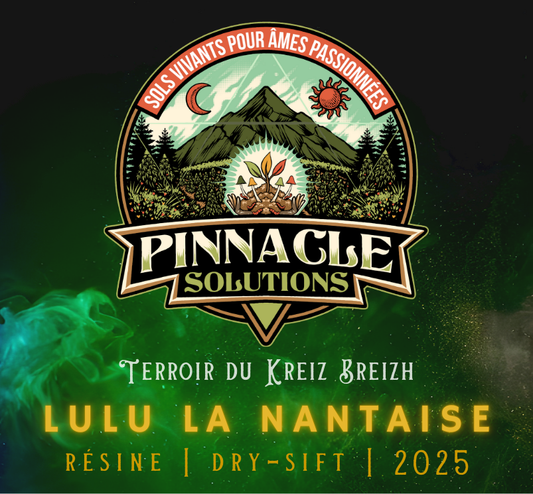 LULU LA NANTAISE  Résine Filtrée