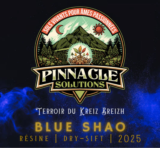 BLUE SHAO  Résine Filtrée