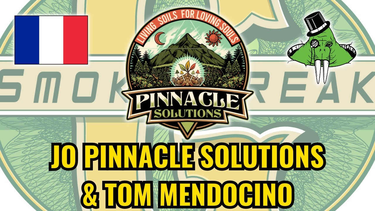 Charger la vidéo : 