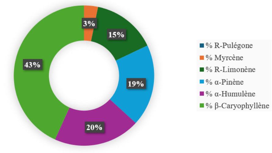 LEGENDARY PLATINUM OG  Extérieur